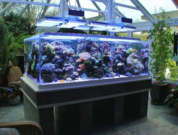 Aquarium modern dan canggih dengan tampilan panorama 360 derajat